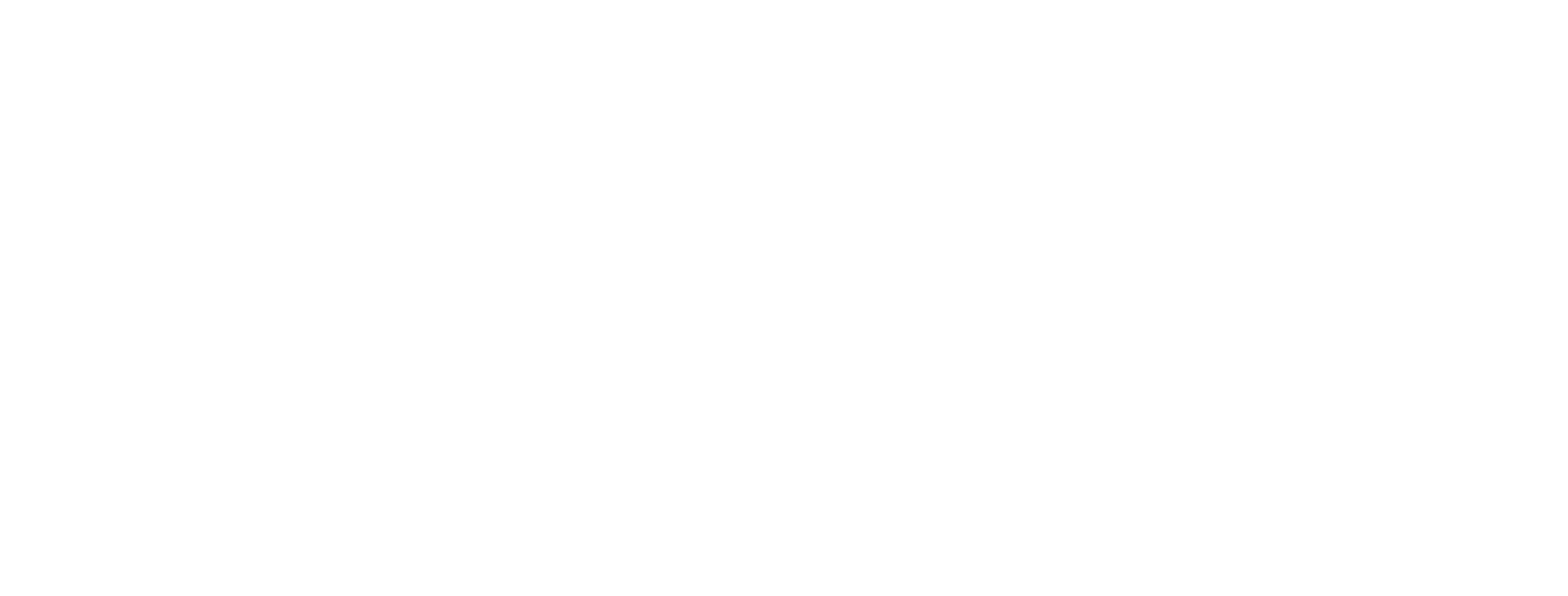 asset 1
